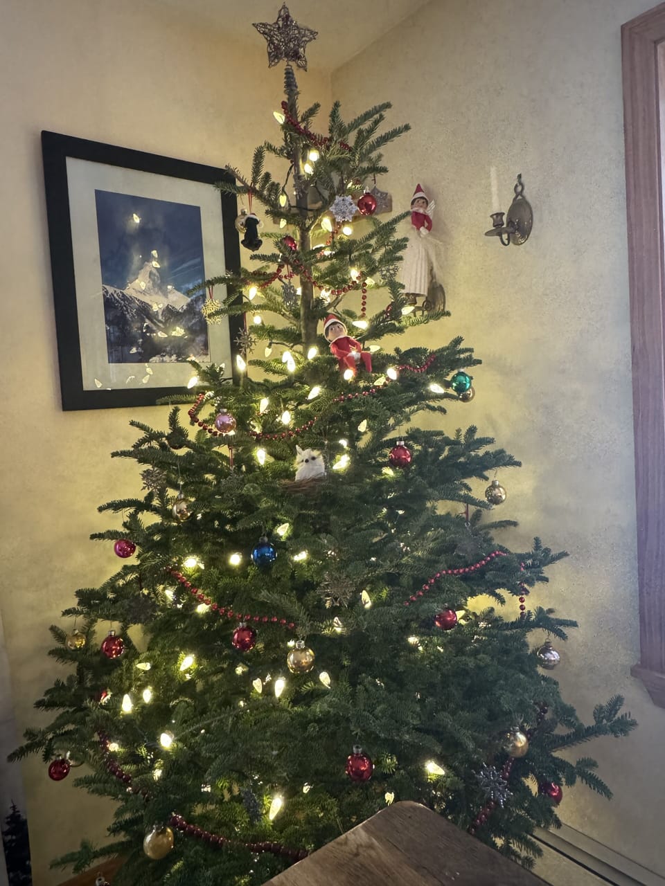 Christmas Season Decor 