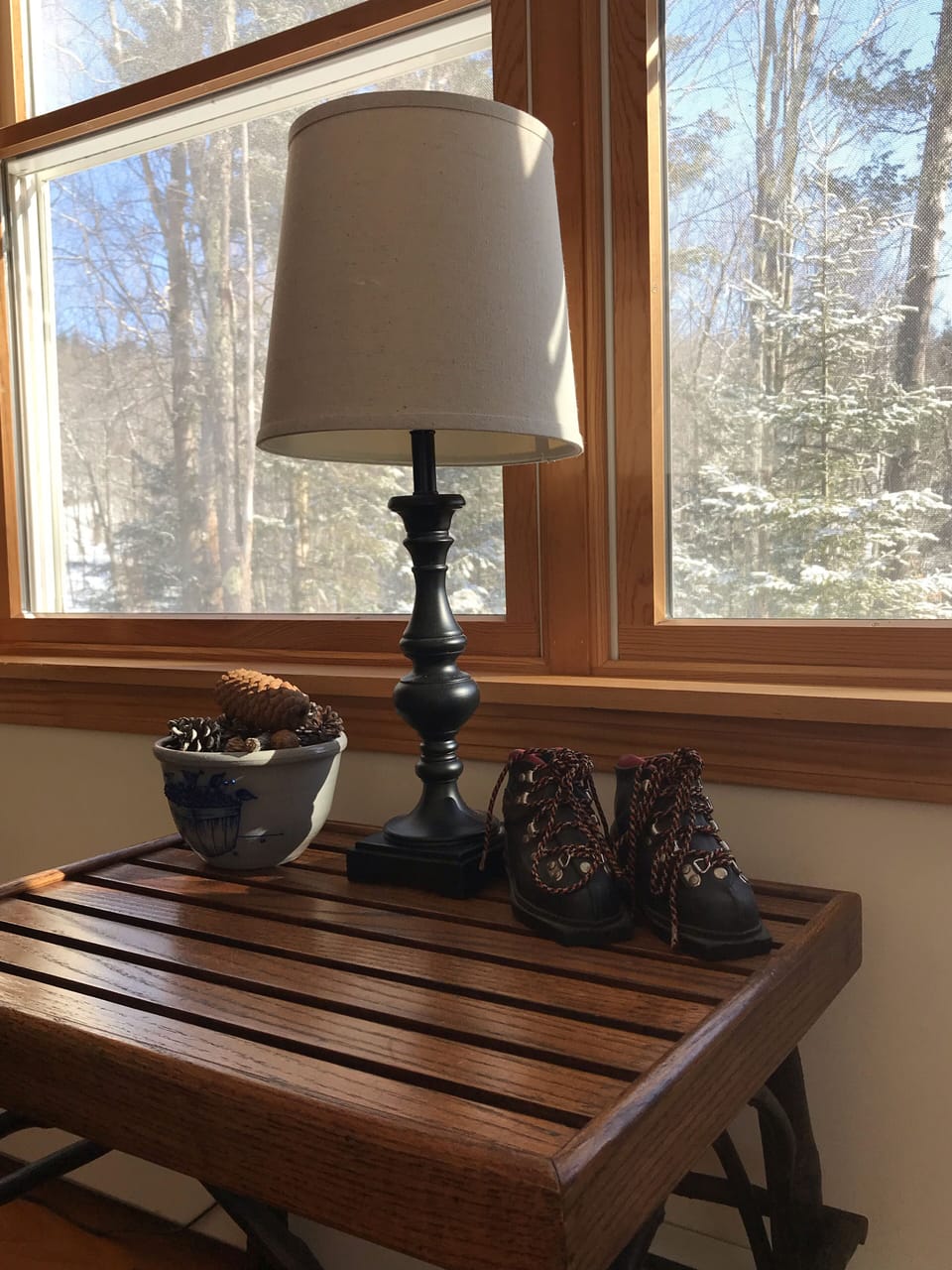 Living Area Decor w/ Touches of Antique Child Ski Boots