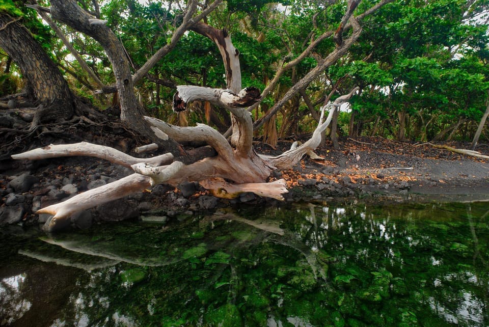  The Beauty of Puna Coast is breath taking! 