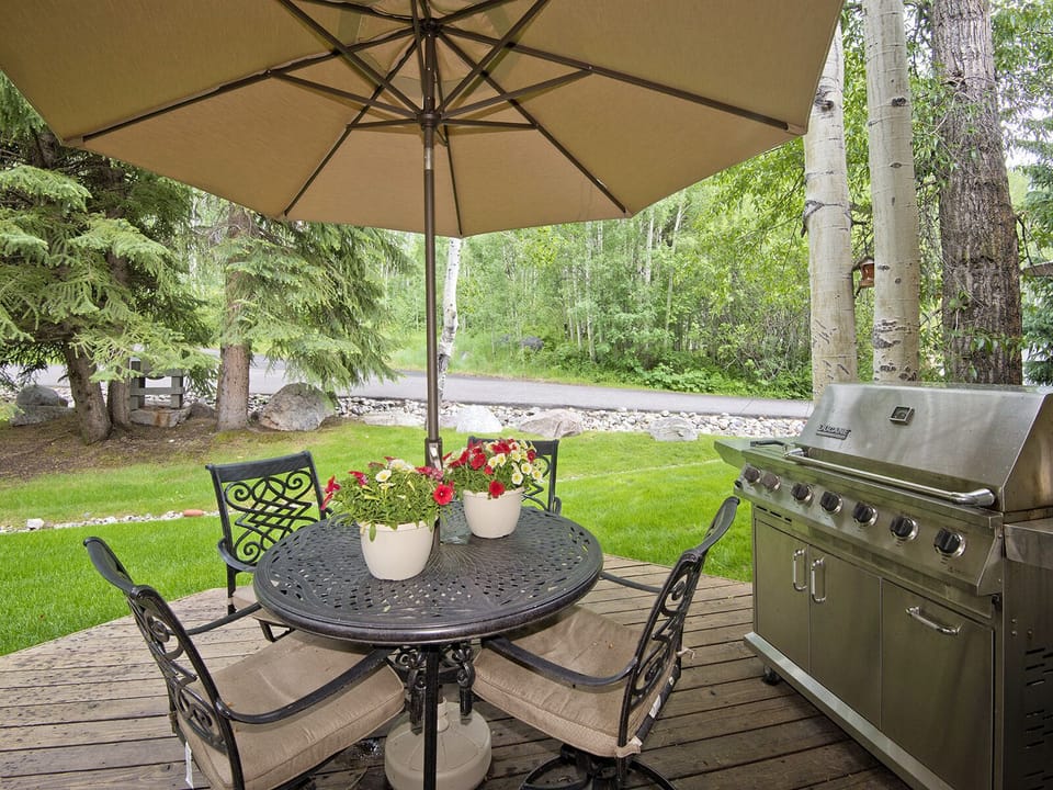 Back Deck w/ Grill