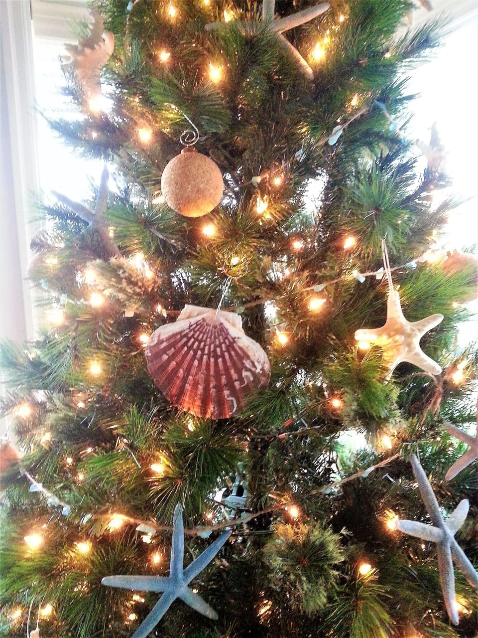 Holiday on the coast