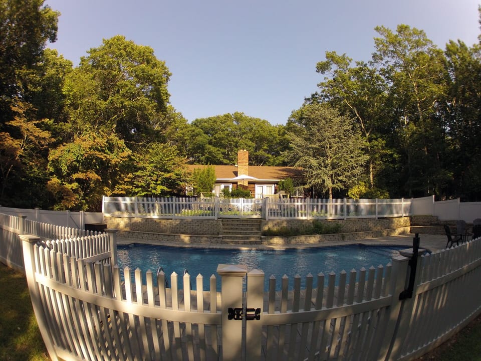 View from the backyard
