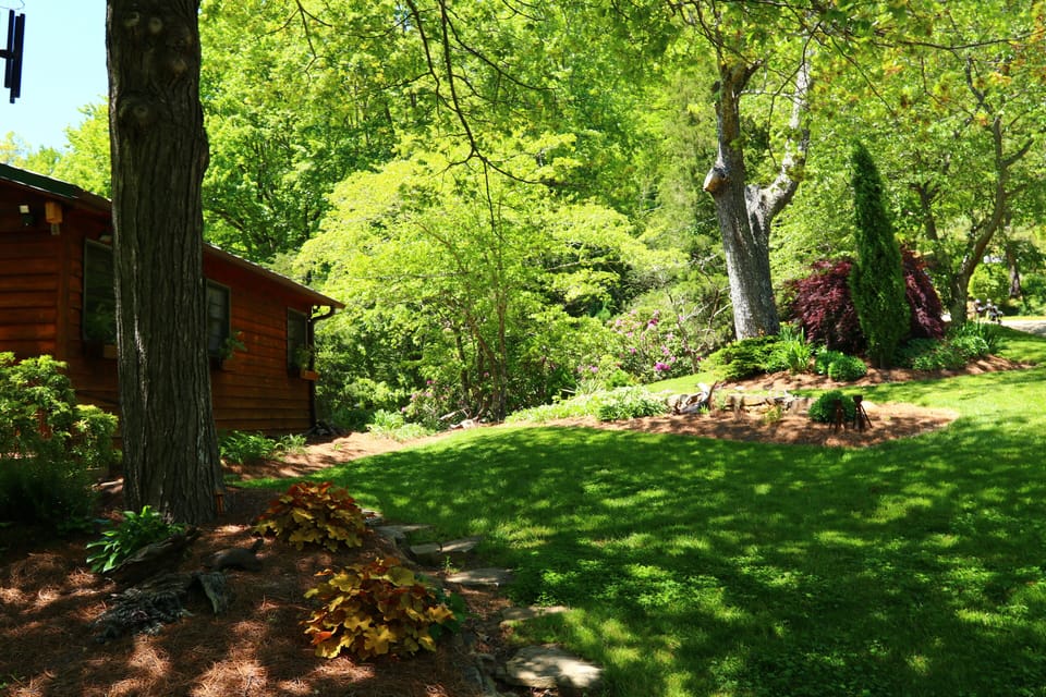 Approach to cabin from parking area