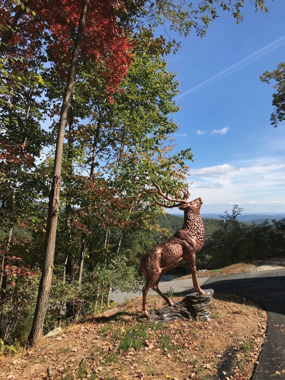 Elk mascot