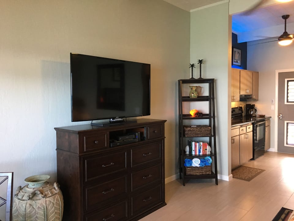 55 inch HiDef TV & hi speed wifi