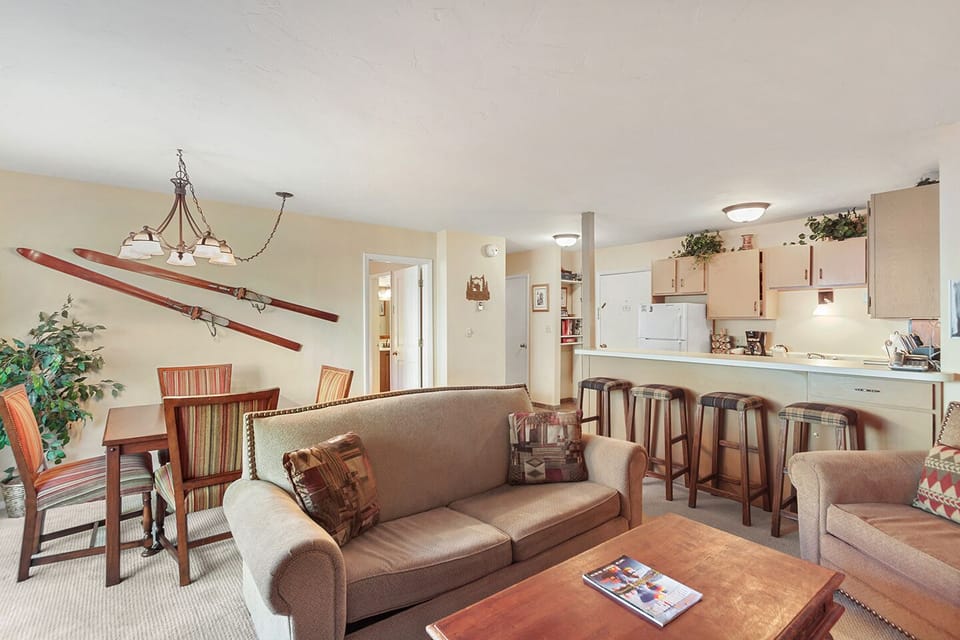 Living Room Area