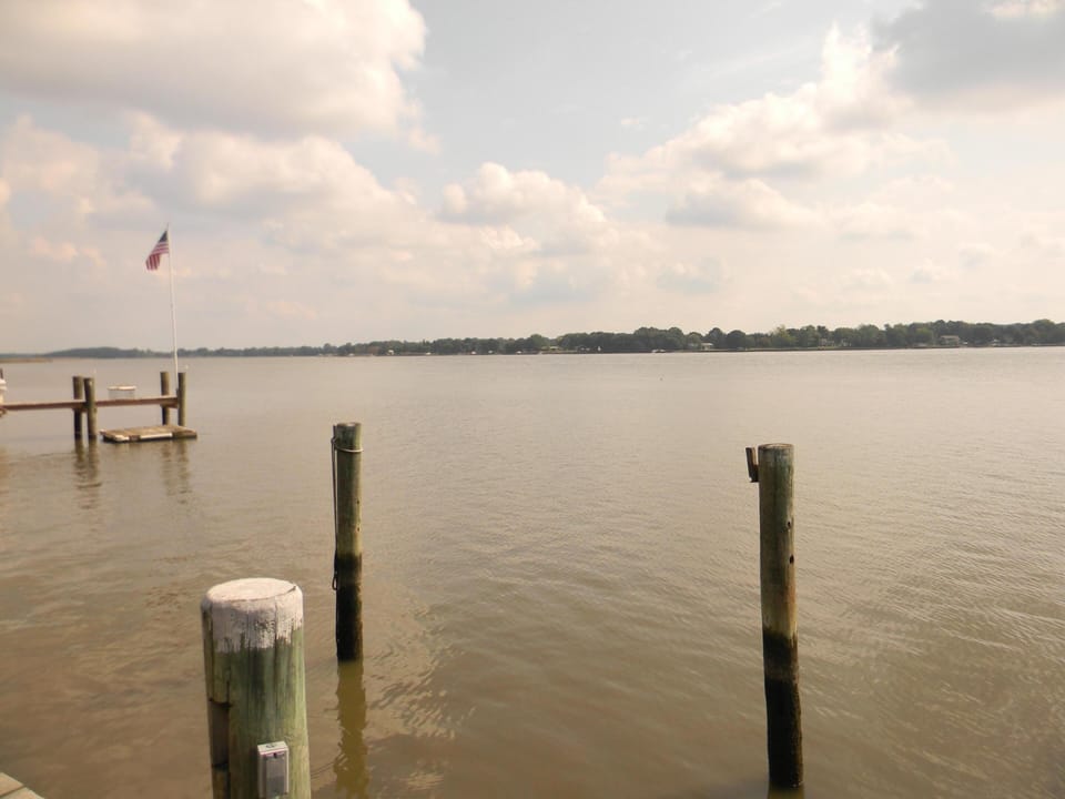 looking up river from the dock