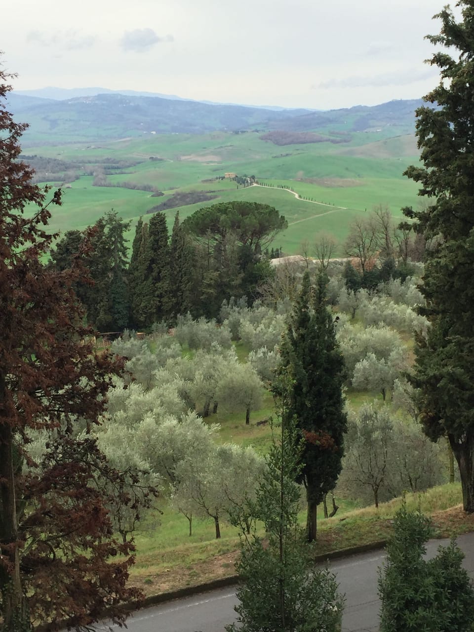 View of the famous Val D'Orcia 