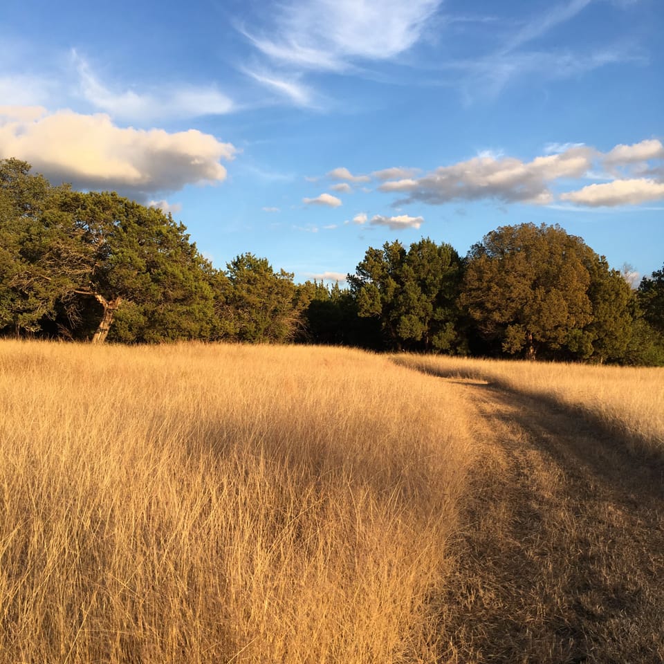 Pre-sunset lighting on one of our pastures