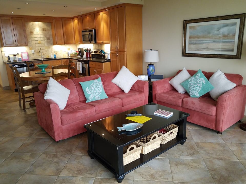 Living Room and Kitcen