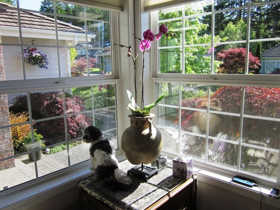 View from the office/fourth bedroom.