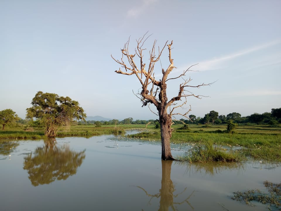 Land view from property