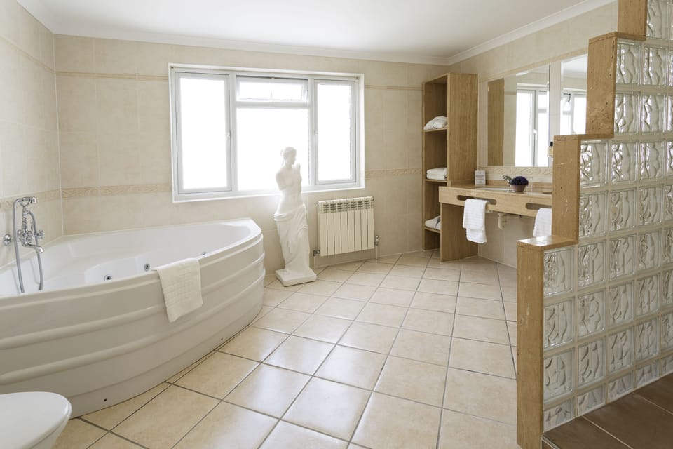 Combined shower/tub, free toiletries, hair dryer, towels