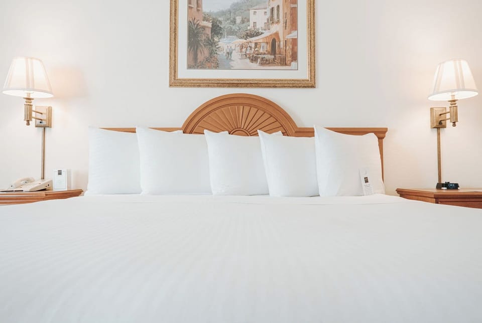 Standard Room, 1 King Bed | Hypo-allergenic bedding, desk, laptop workspace, blackout drapes
