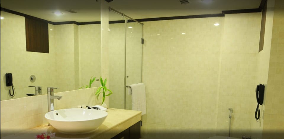 Deluxe Room | Bathroom | Separate tub and shower, deep soaking tub, hair dryer (on request)