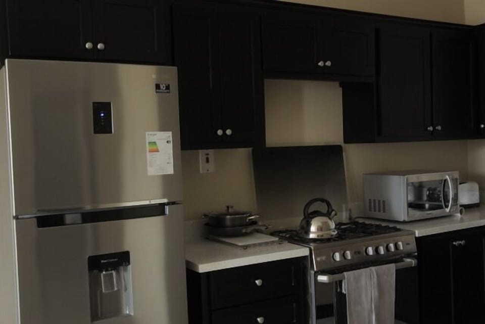 City Apartment, 2 Bedrooms, Refrigerator & Microwave, City View | Private kitchen | Full-size fridge, microwave, oven, stovetop