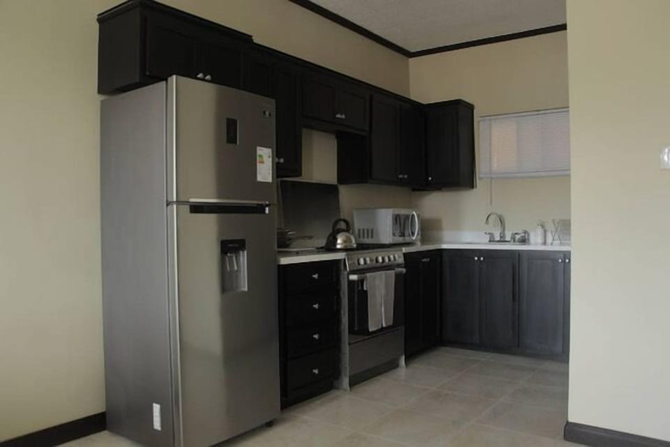 City Apartment, 2 Bedrooms, Refrigerator & Microwave, City View | Private kitchen | Full-size fridge, microwave, oven, stovetop
