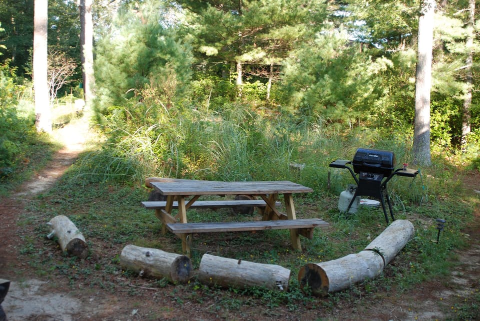 grill and picnic table
