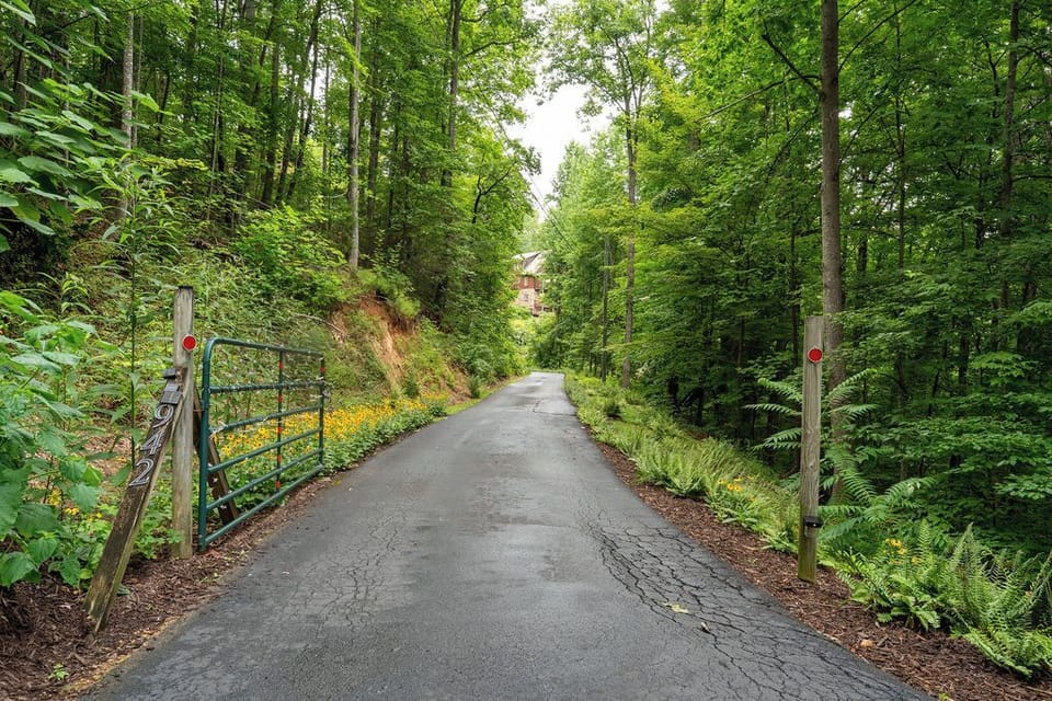 Gated driveway 500 ft-ish long, I garden it