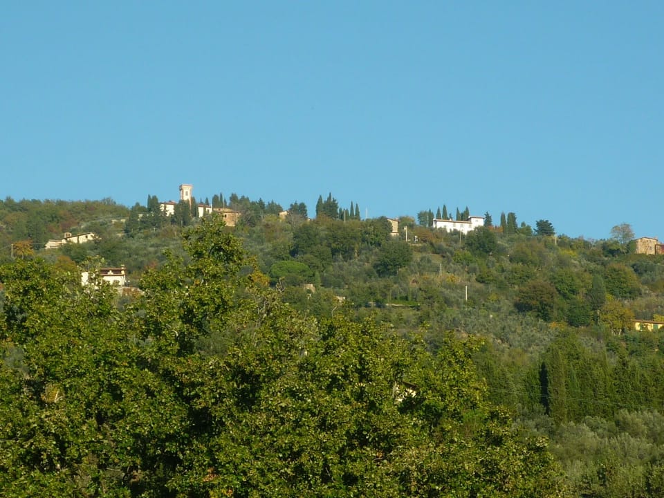 House in the Florentine hills with swimming pool, free parking and wifi House in Tuscany