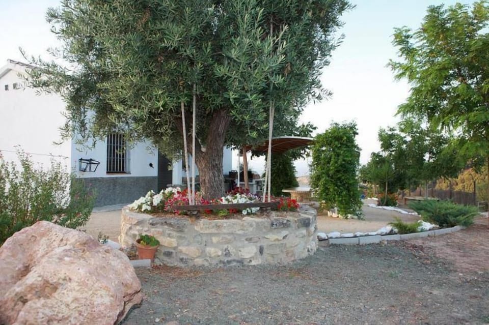 Garden, Park
