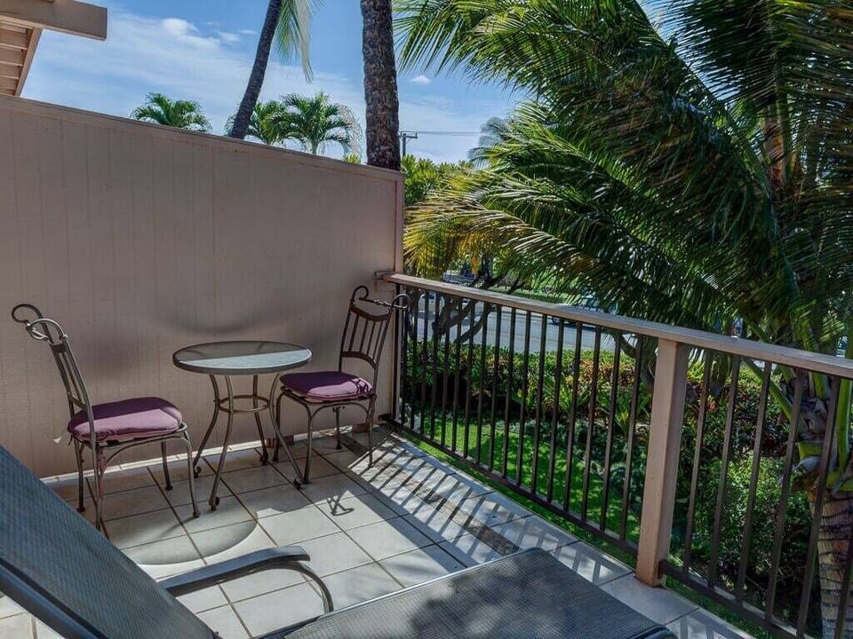 Top lanai view of palm tree