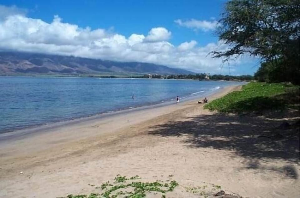 Our white sand beach, taken 50 steps in front of our home.