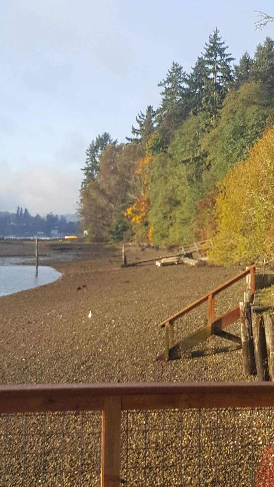 Private beach to beachcomb. 