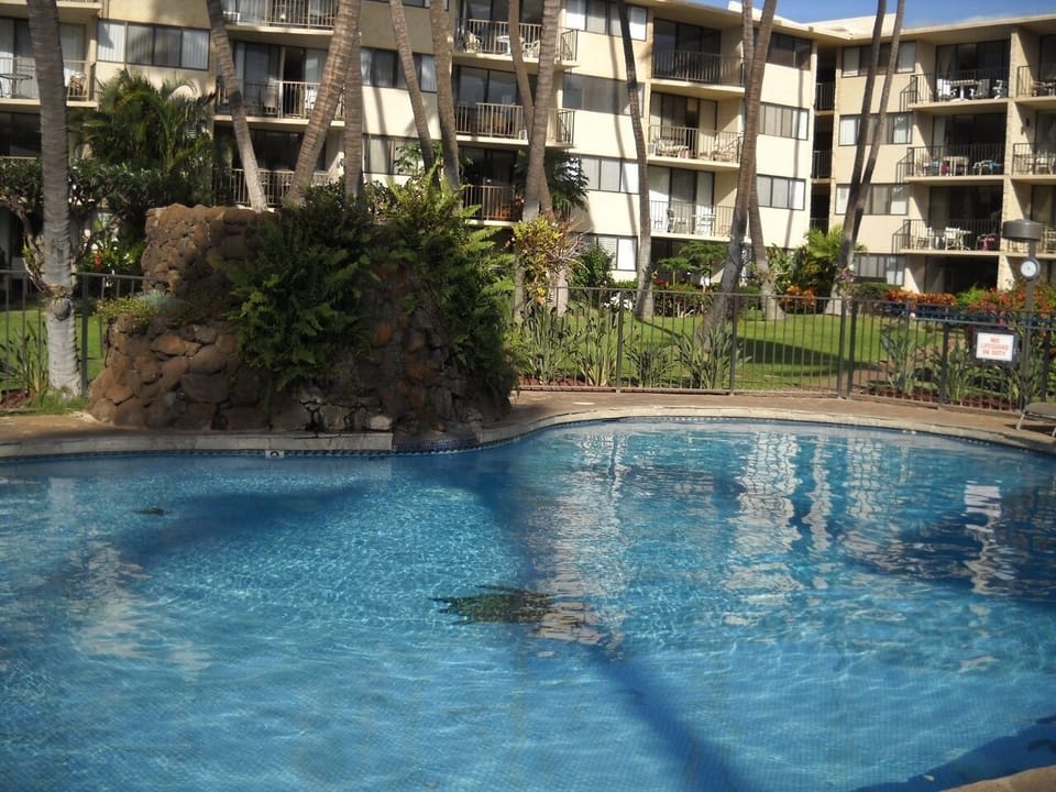 The heated pool with our condo in the background
