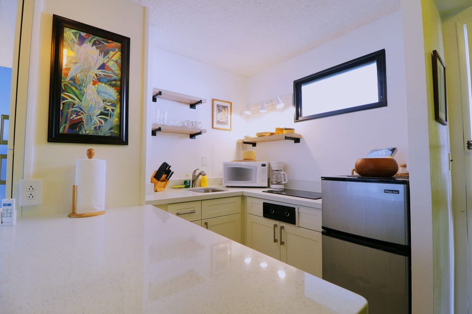 two burner cooktop, microwave, refrigerator, and coffee maker