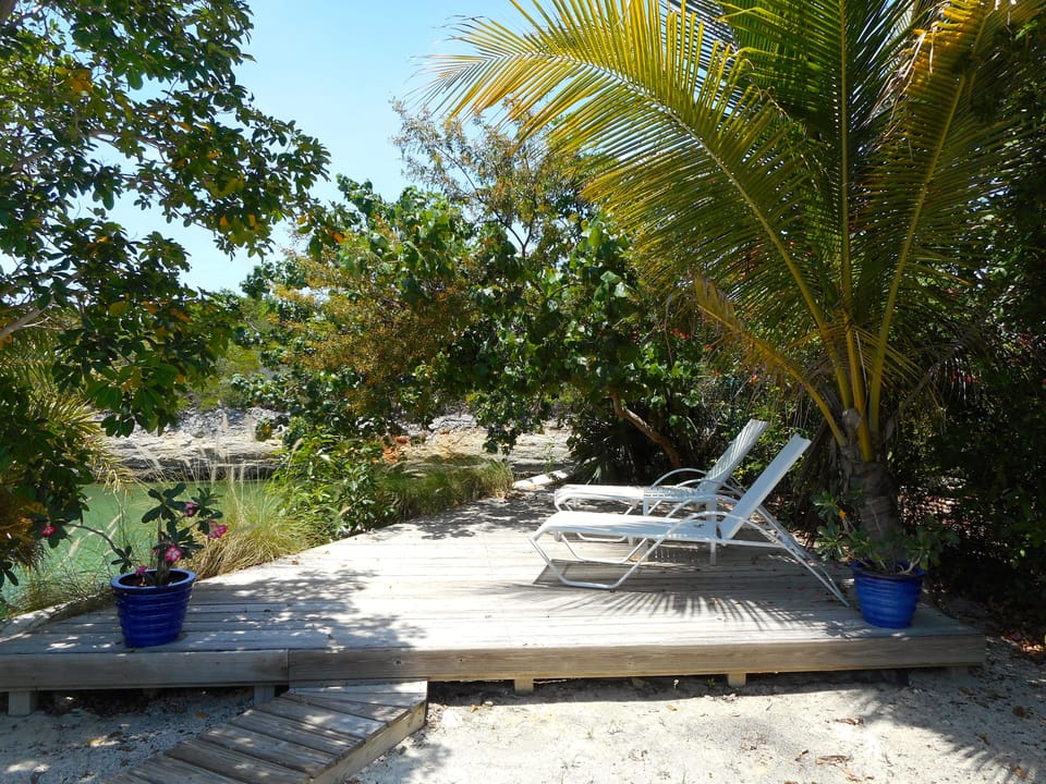Dockside Patio with High End Chaise Loungers o/l Canal with boardwalk cobalt pot