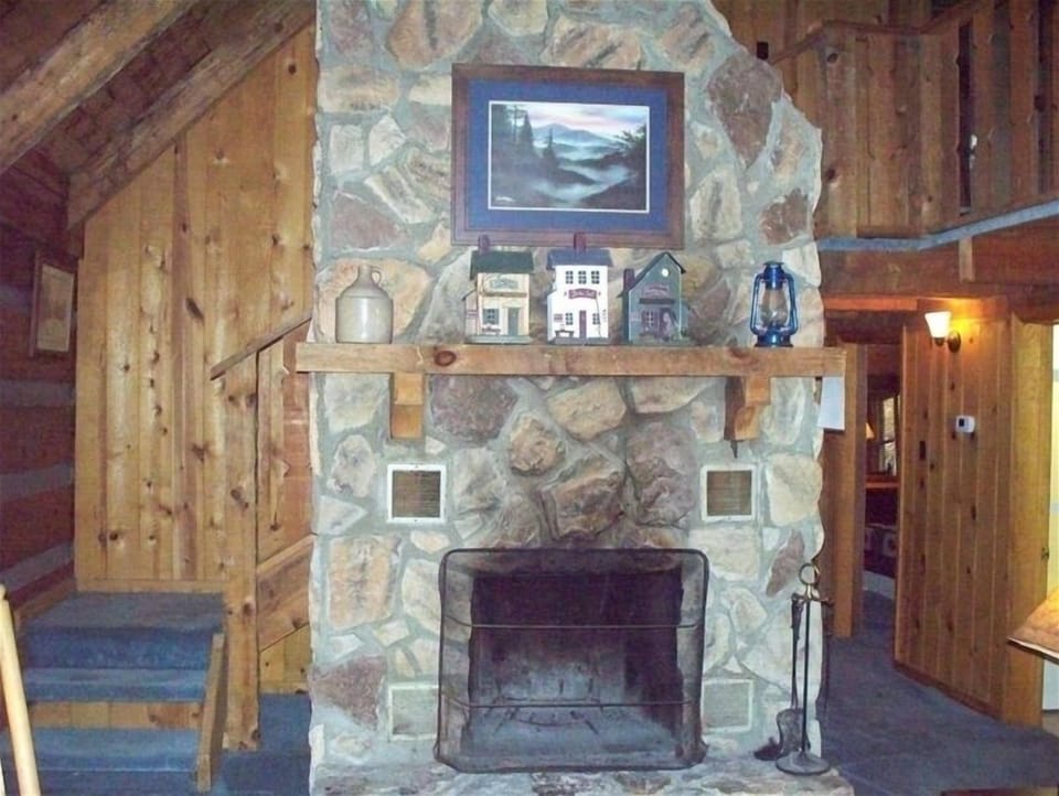Fireplace - we provide the firewood !