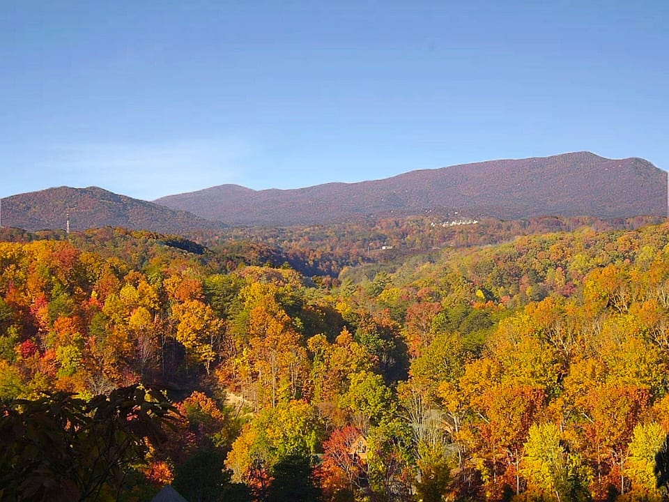 Beautiful fall colors off rear deck of cabin