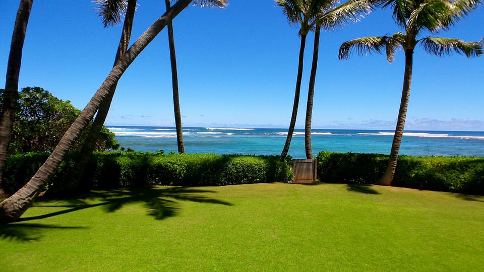 A putting green front lawn, perfect for family croquet, or private sunbathing.