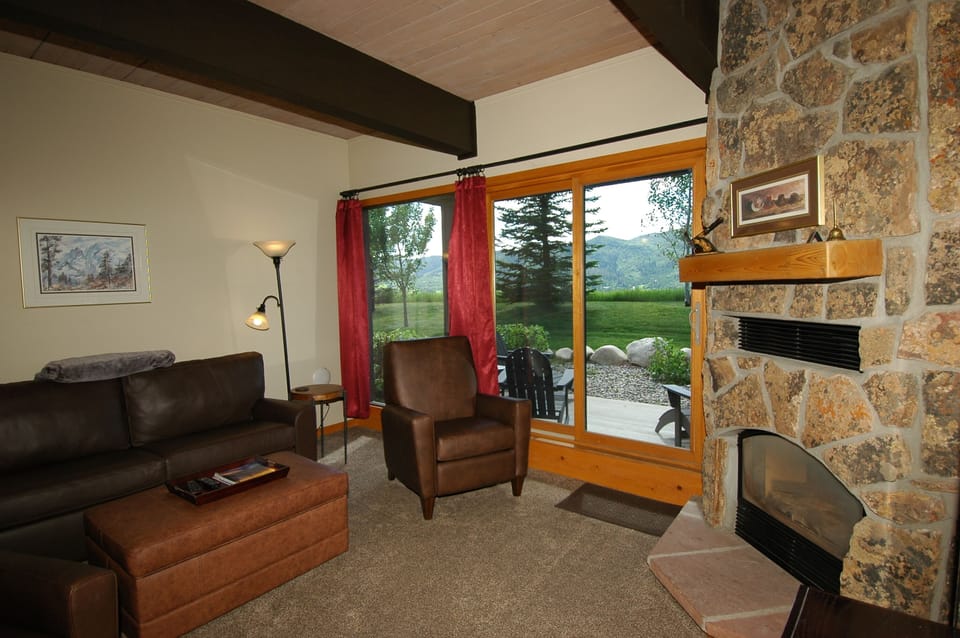 Leather Furniture and American Leather Sofa Sleeper