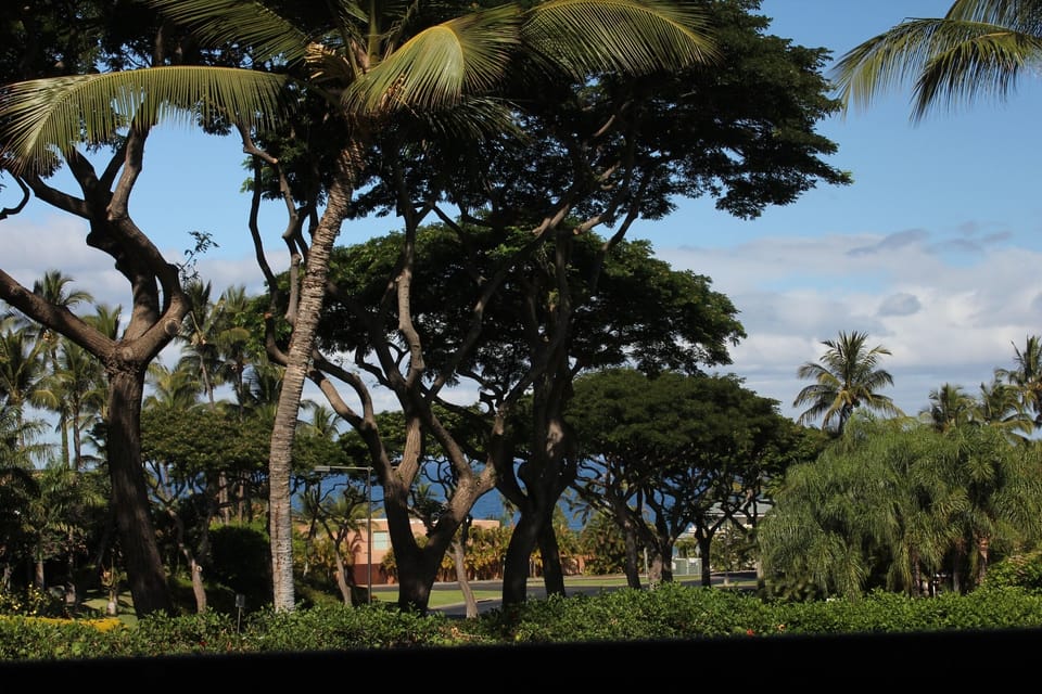View from property