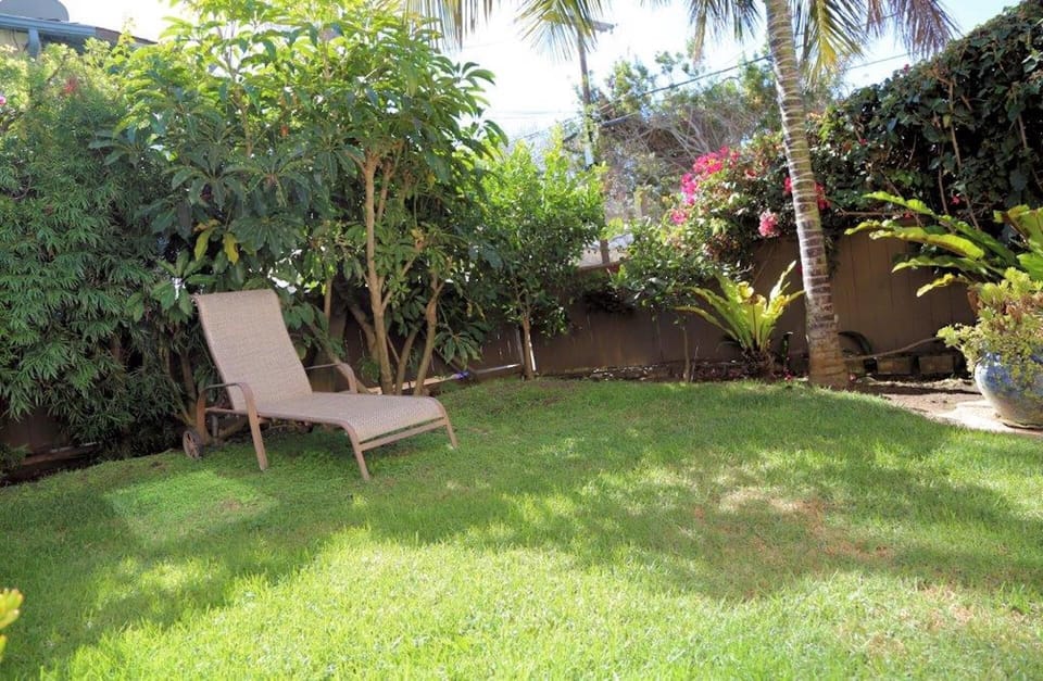 Private backyard