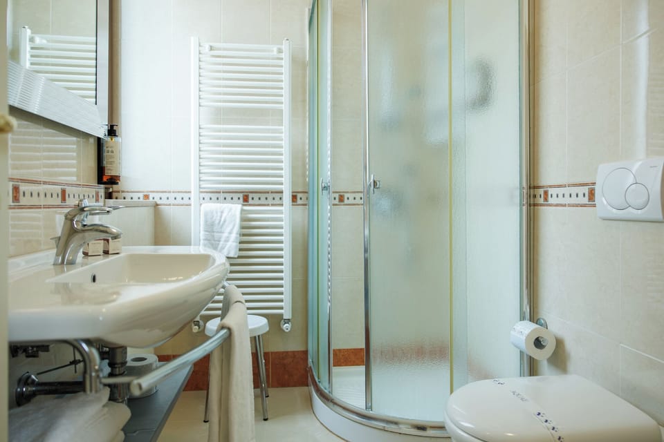 Free toiletries, hair dryer, bidet, towels