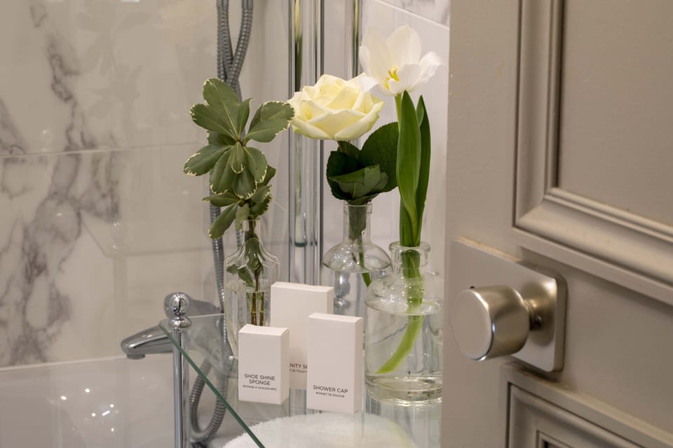 Combined shower/tub, deep soaking tub, hair dryer, towels