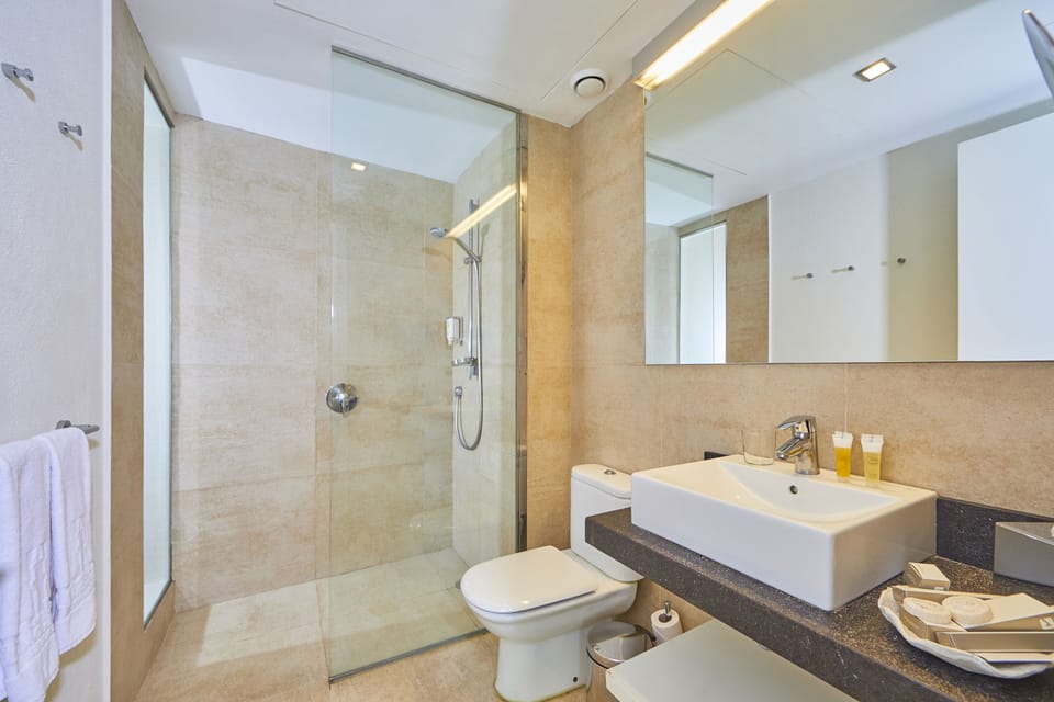 Shower, free toiletries, hair dryer, bathrobes