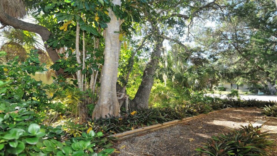 we have a trail around the entire house....this is a charming place to live...