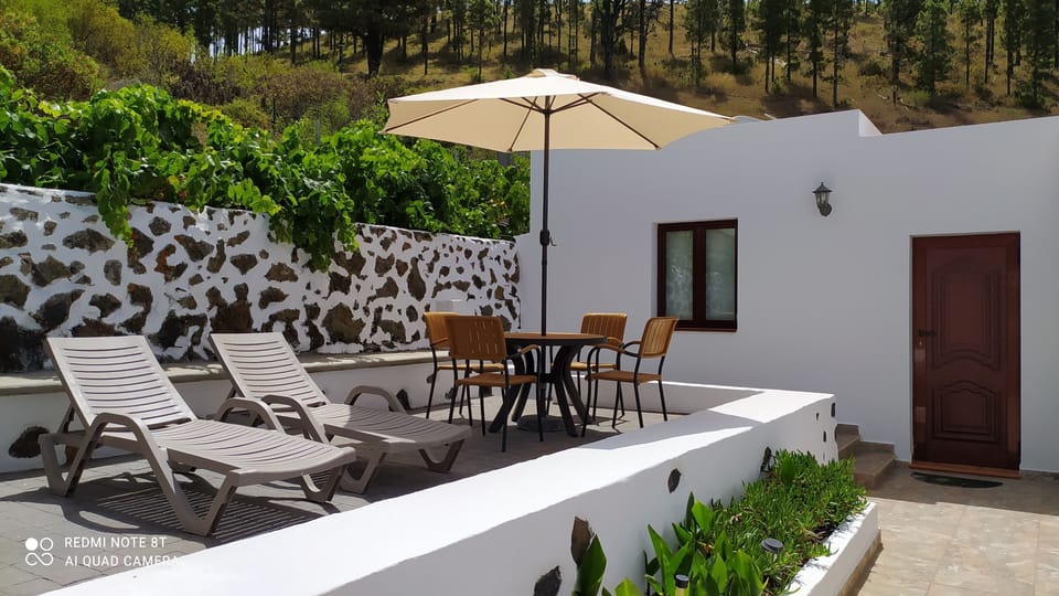 Patio trasero
