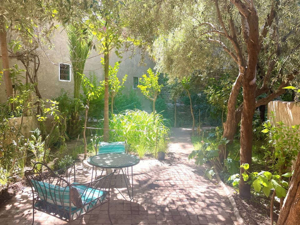 Gorgeous mature private garden