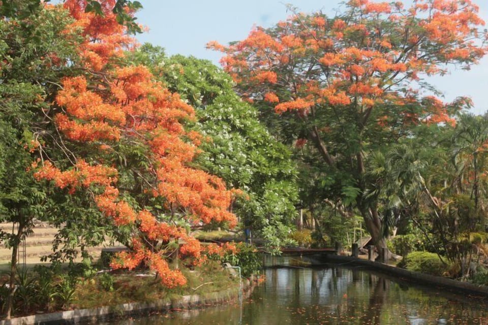 Stream in your lush green private park 