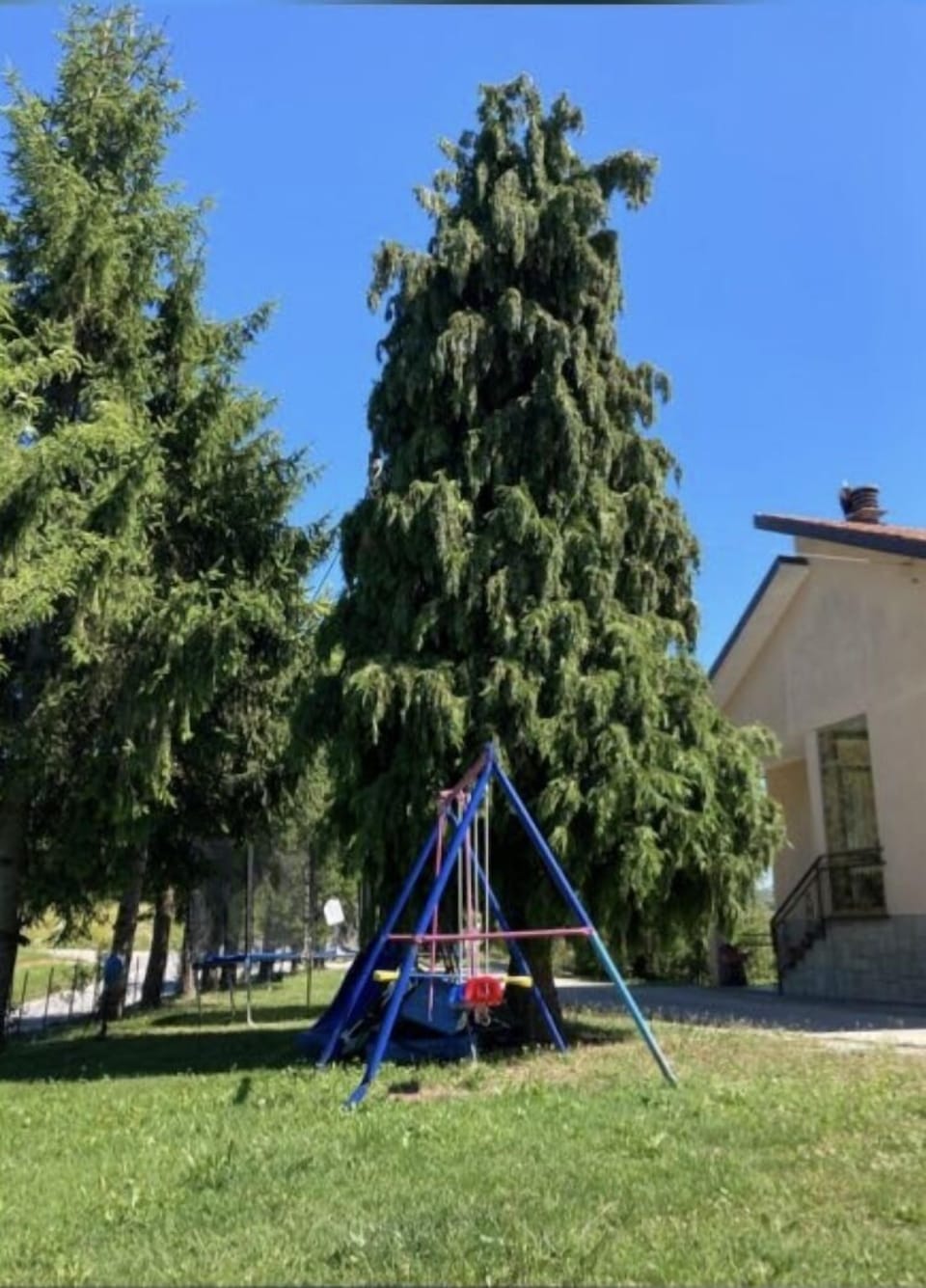 Children's area