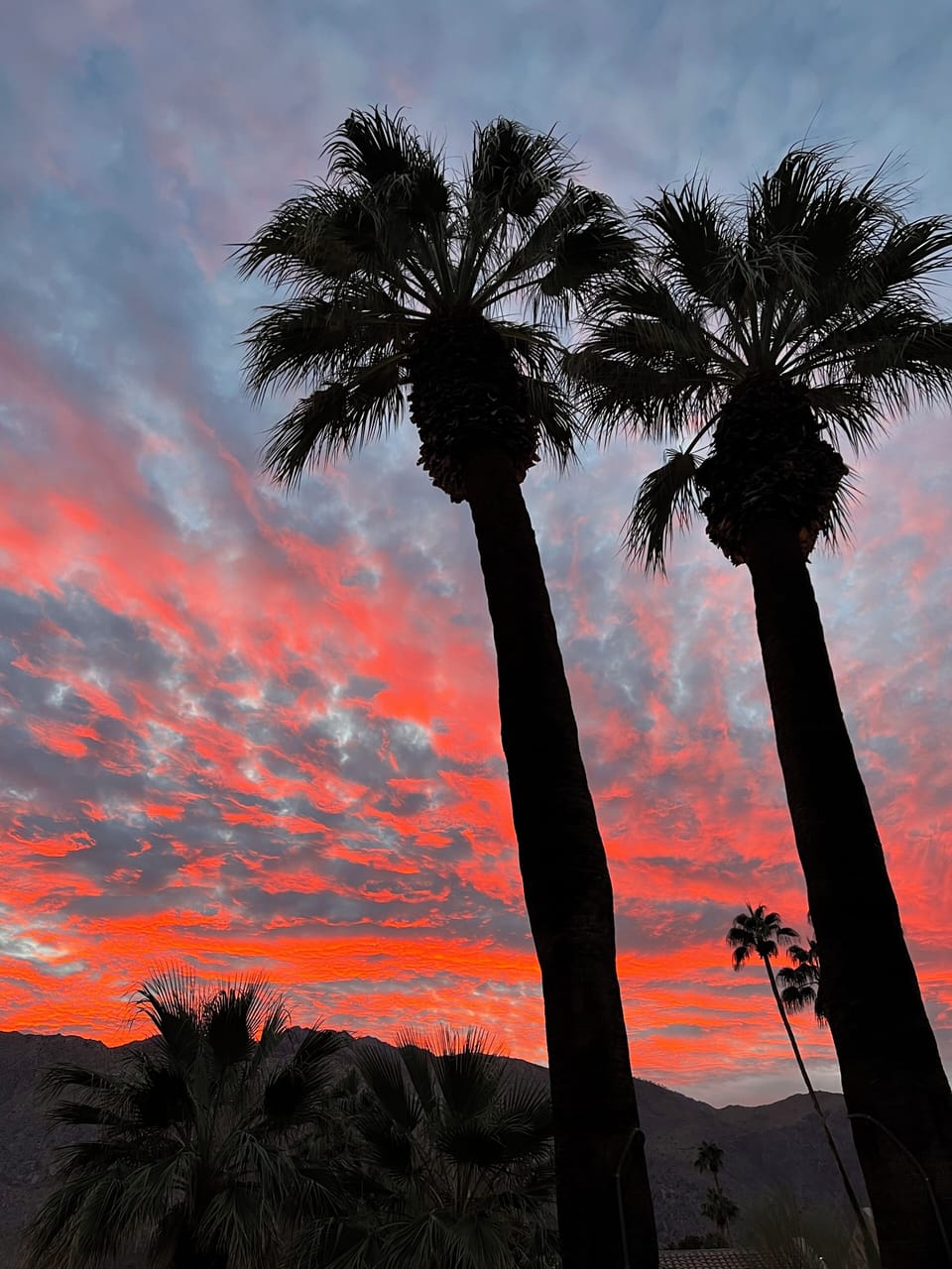 A spectacular sunset almost every night.