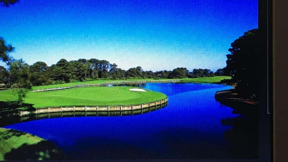 Tee it up at nearby golf courses.