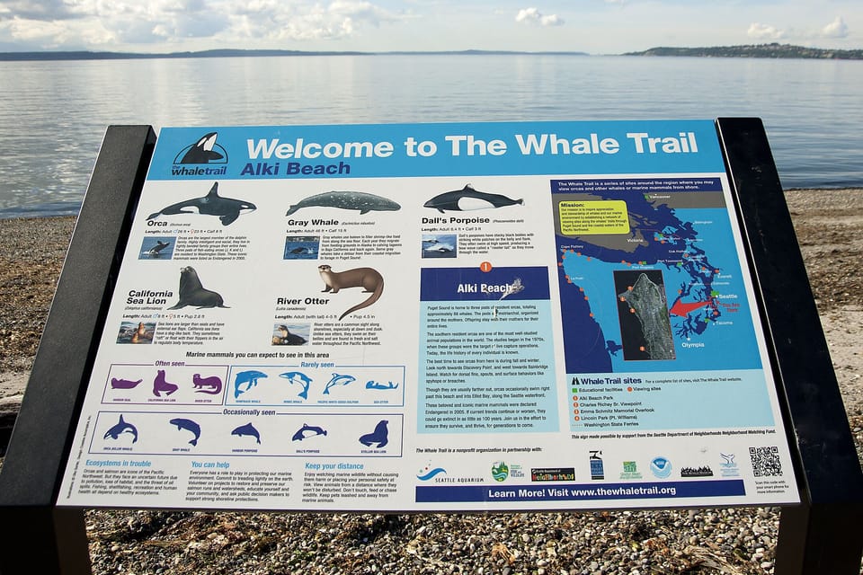 Alki Sea Life