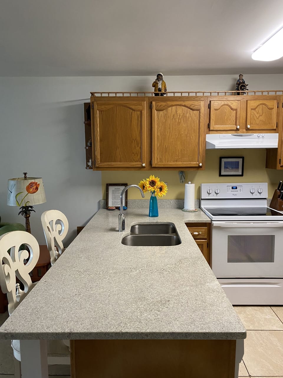 new granite countertops with new sink and range.