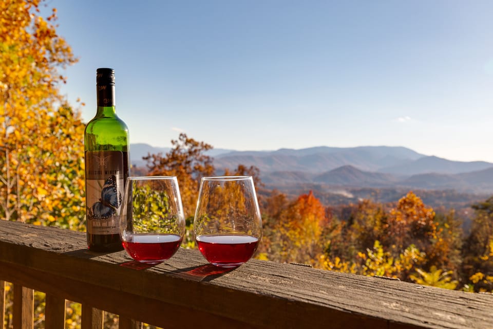 Fall views